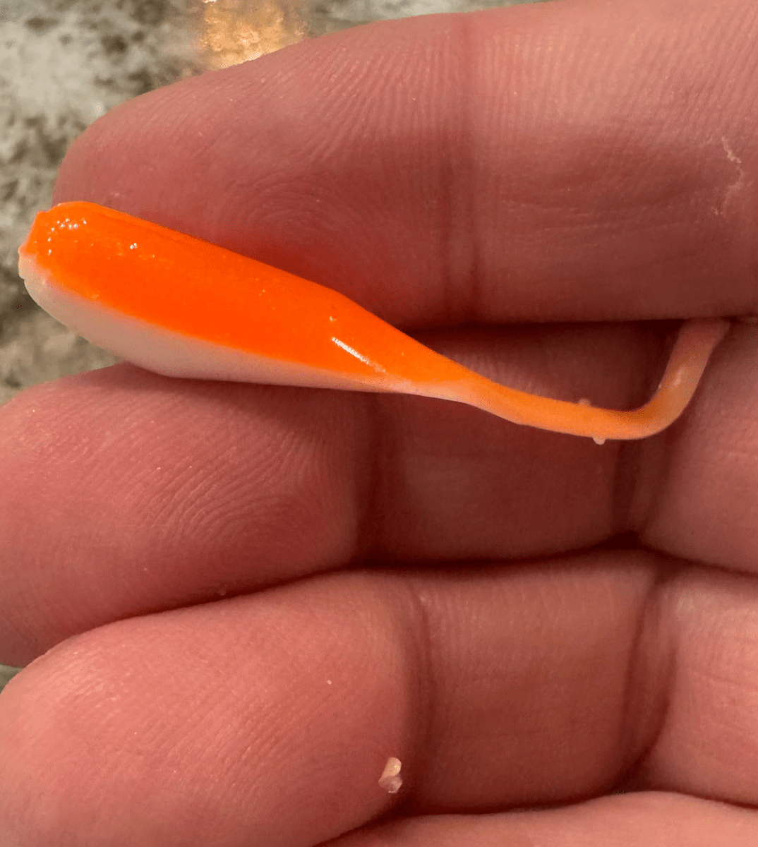 A hand holding a minnow shaped soft plastic crappie jig in two colors. Shiny orange top with a frosty white under belly