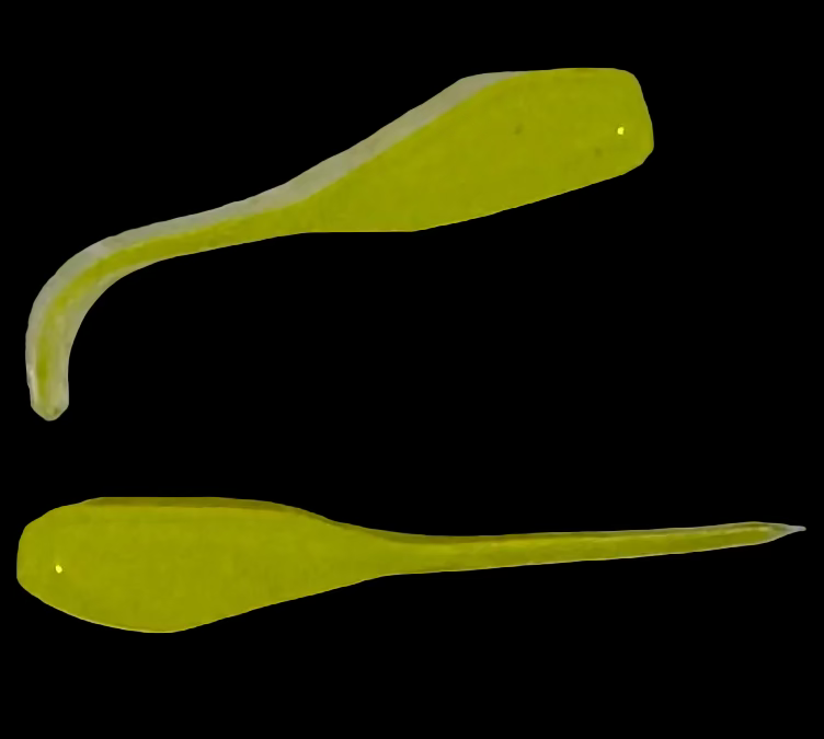 Minnow shaped soft plastic crappie jigs solid colored chartreuse with a UV glow